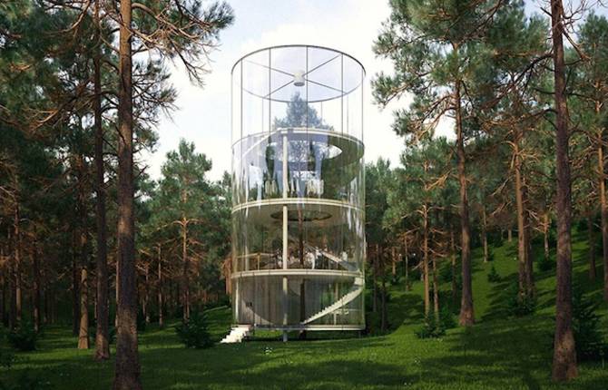 Greenhouse In The Middle of Trees