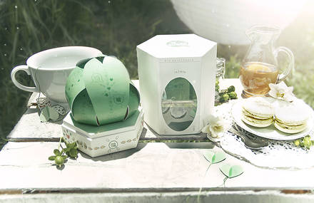 Té Quiero/ tea packaging concept