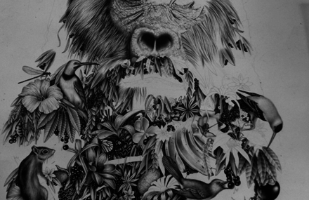 Mysterious Animals Drawings