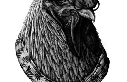 Mysterious Animals Drawings
