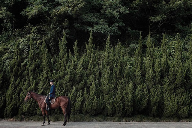 China Life Photography - Horse Year1