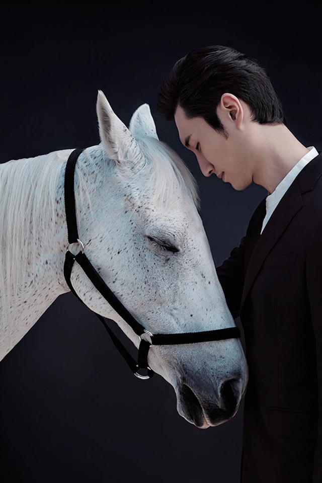 China Life Photography - Horse Year3