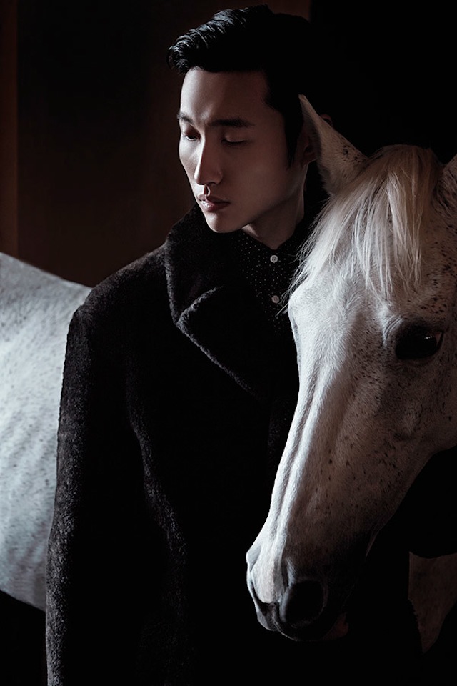 China Life Photography - Horse Year4