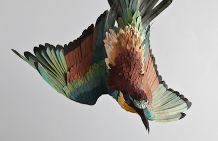 Birds Paper Sculptures