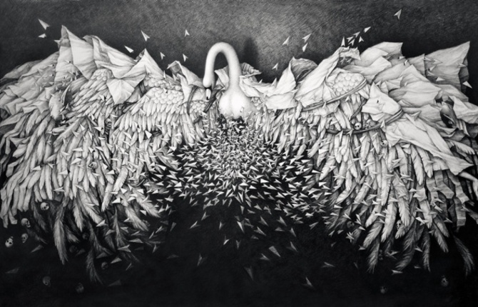 Faramita Swan Drawing