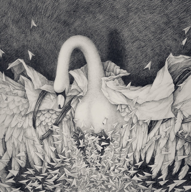 Faramita Swan Drawing7