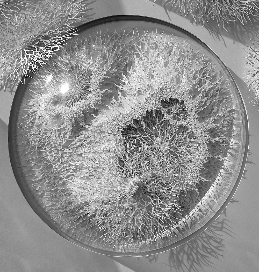 Hand Cut Paper Microbes by Rogan Brown1