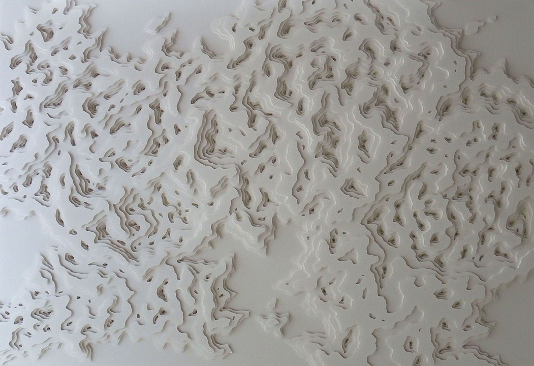Hand Cut Paper Microbes by Rogan Brown10