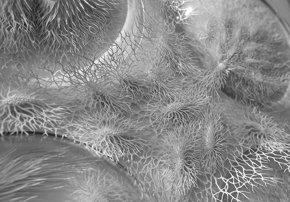 Hand Cut Paper Microbes by Rogan Brown3