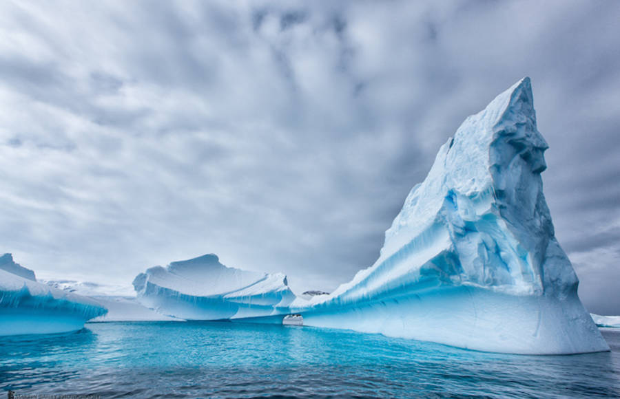 Martin Bailey Iceberg Photography