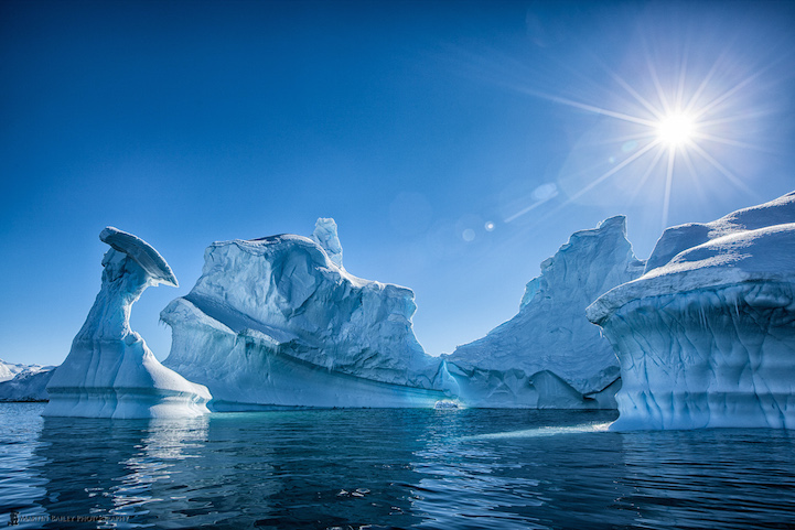 Portal Point Icebergs