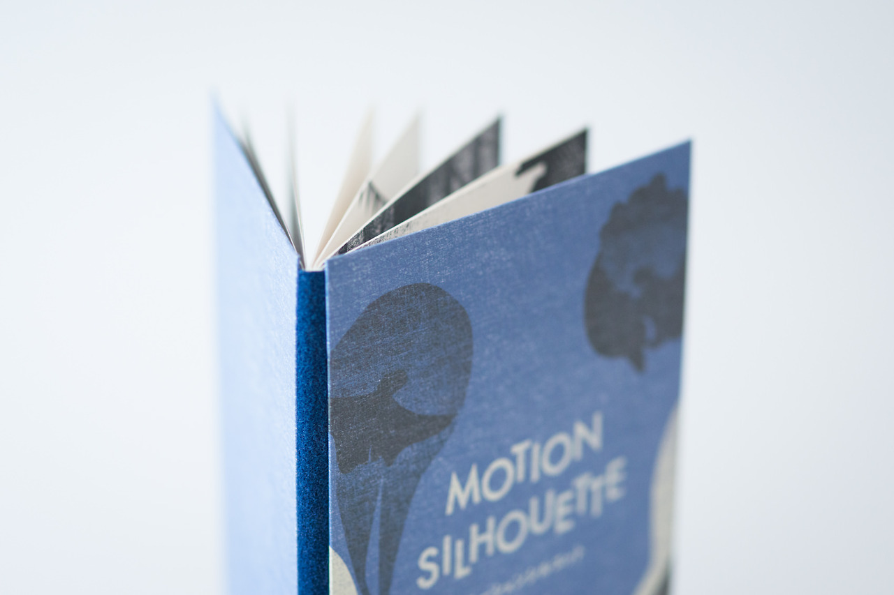 Motion Silhouette Interactive Book9