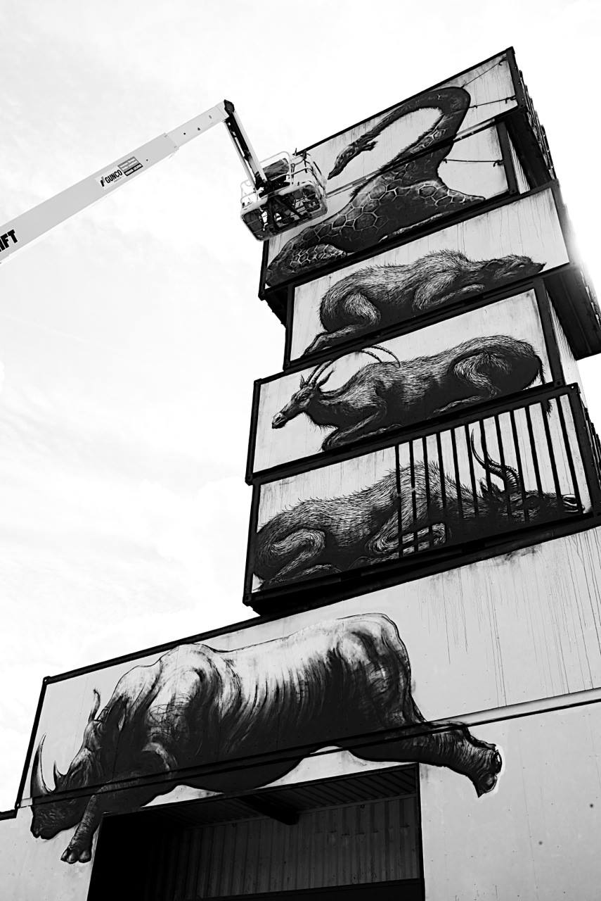 ROA - North West Walls 6