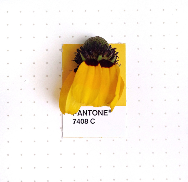 Tiny Objects Pantone