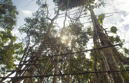 | Korowai Tribe Movie |