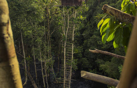 | Korowai Tribe Movie |