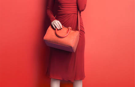 AW14 by Pelcor