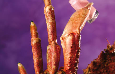 FOODPHOTO
