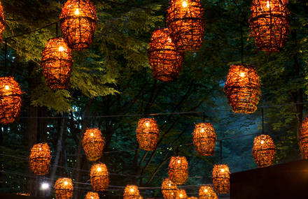 Foresta Lumina – an illuminated night trail through the forest