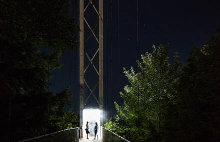 Foresta Lumina – an illuminated night trail through the forest