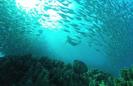 Awesome GoPro Photos