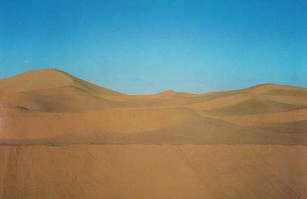 ANALOGICAL LANDSCAPE