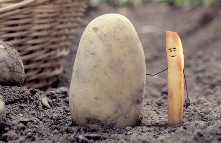 Save The French Fry