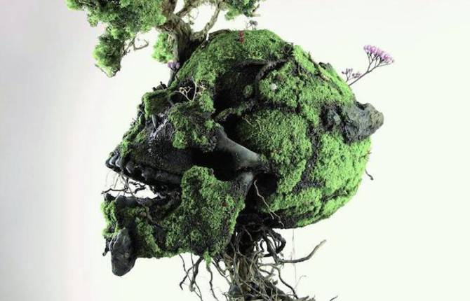 Skull Sculpture With Plants