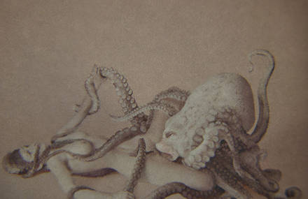 Stereoscope