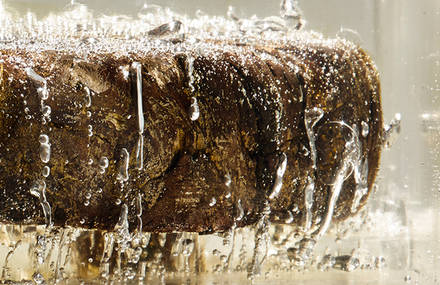 “SOUVENIR OF THE LAST CENTURY” STOOL 02