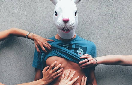 The Rabbit Project