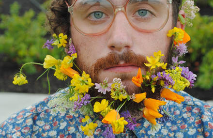 50+ Landscaped Beard Gardens