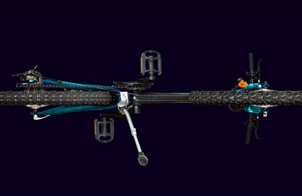Urban insects: an upside-down view of vehicles