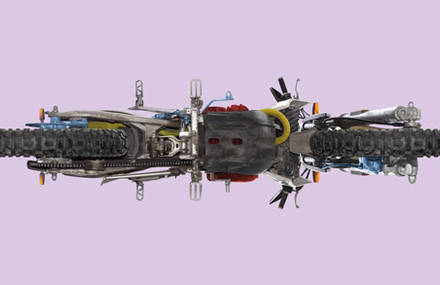 Urban insects: an upside-down view of vehicles