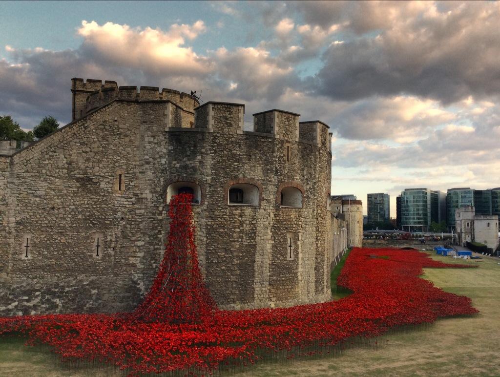 Ceramic Poppies in Tower of London1