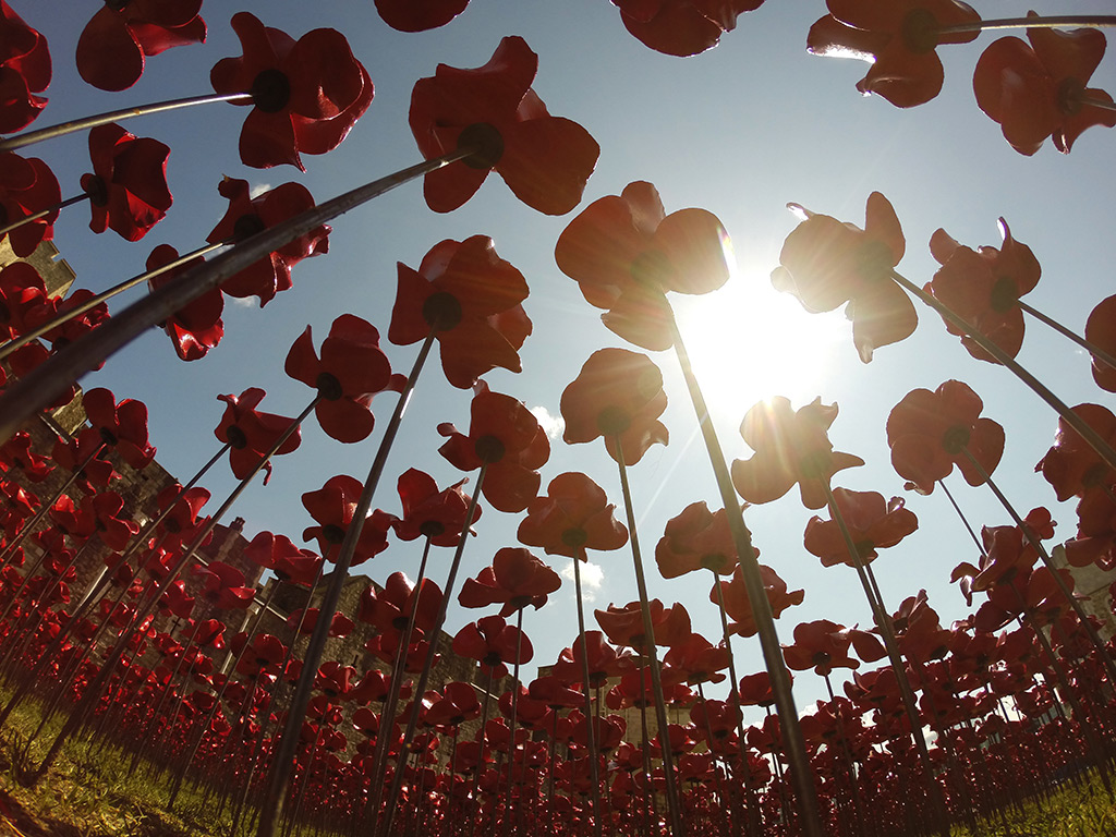 Ceramic Poppies in Tower of London2