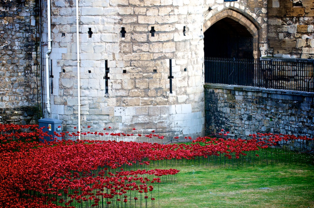 Ceramic Poppies in Tower of London3