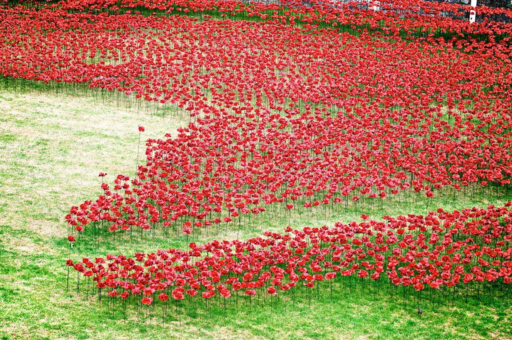 Ceramic Poppies in Tower of London4