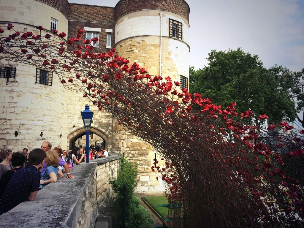 Ceramic Poppies in Tower of London5