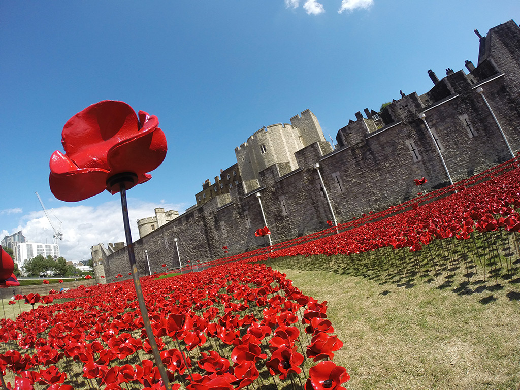 Ceramic Poppies in Tower of London6