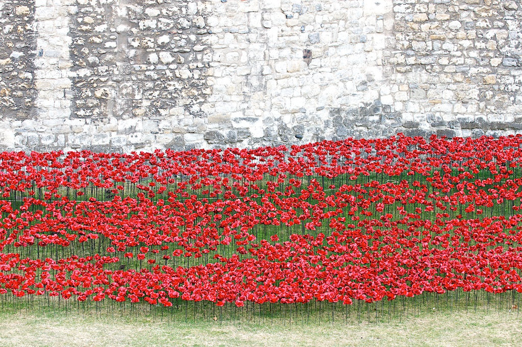Ceramic Poppies in Tower of London7