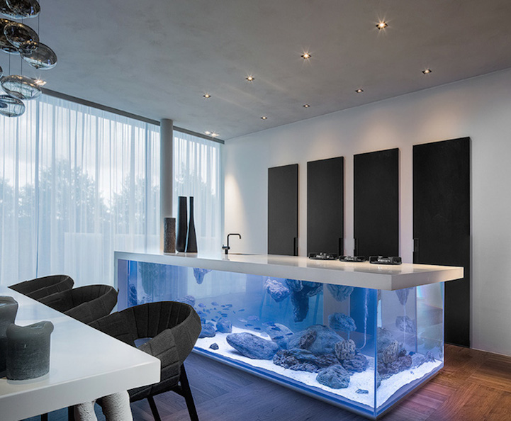 Modern Kitchen with Aquarium2