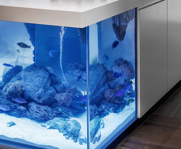 Modern Kitchen with Aquarium3