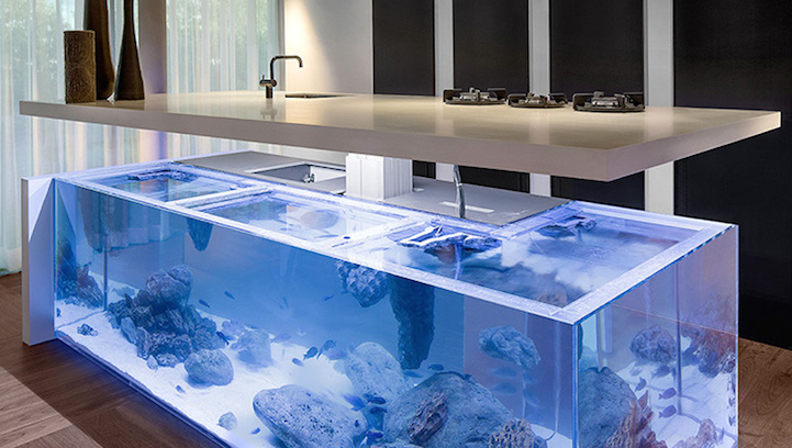 Modern Kitchen with Aquarium5
