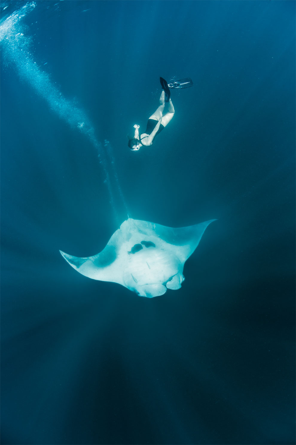 Roberta Mancino Diving Photography10