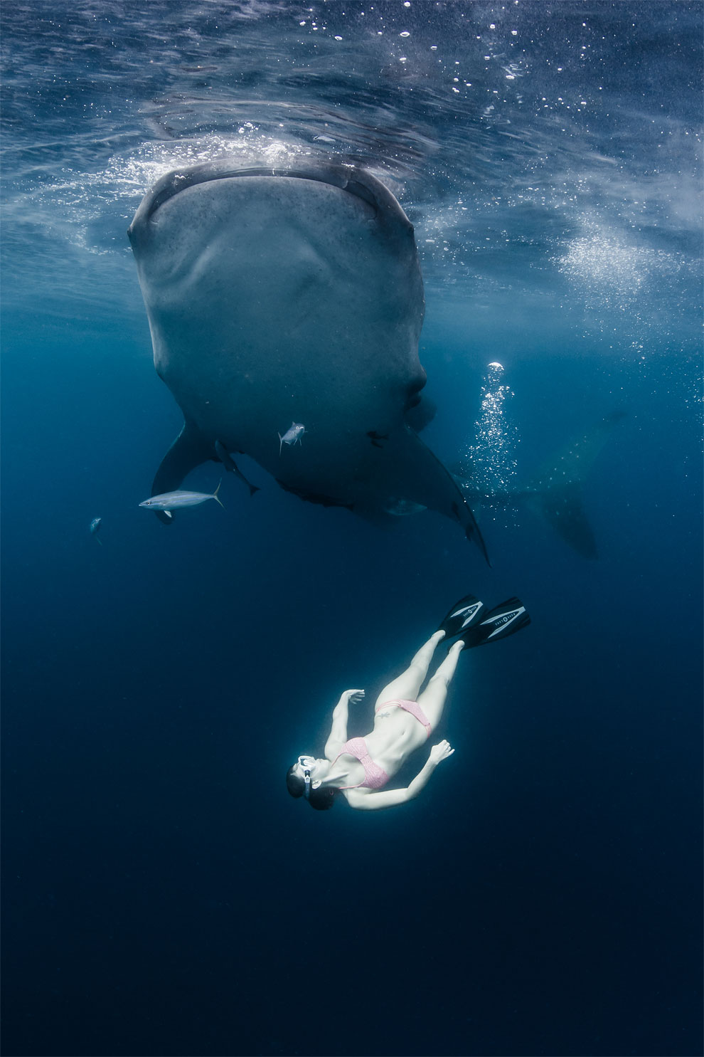 Roberta Mancino Diving Photography15
