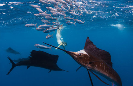 Roberta Mancino Diving Photography