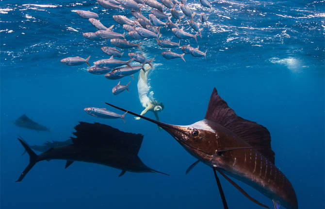 Roberta Mancino Diving Photography
