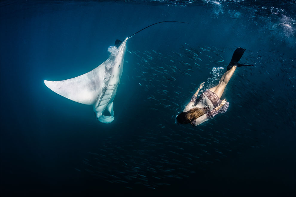 Roberta Mancino Diving Photography4
