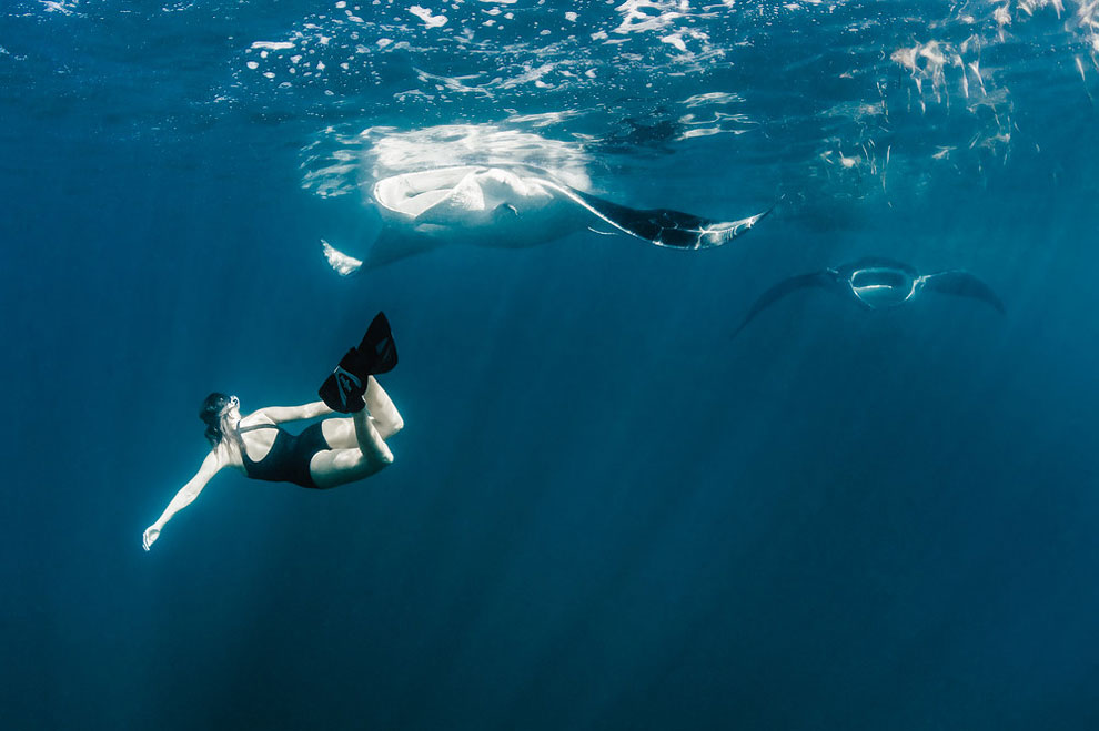 Roberta Mancino Diving Photography7